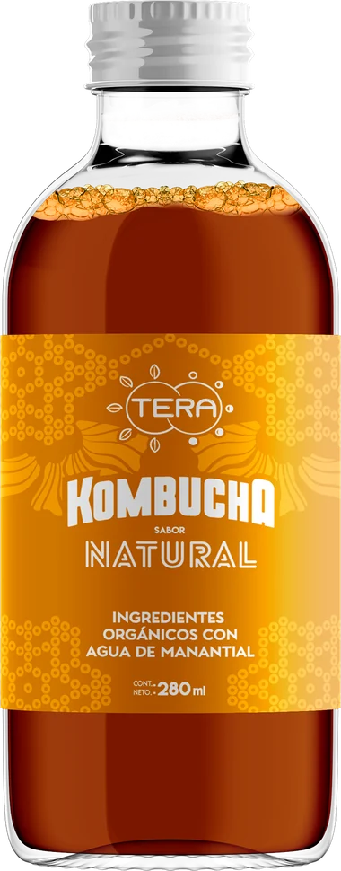 Botella de Tera Kombucha sabor natural, 280 ml