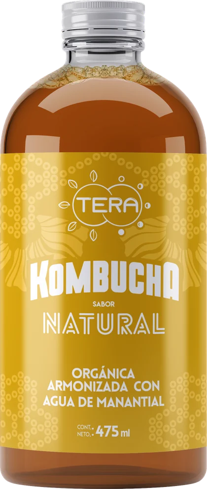 Botella de Tera Kombucha sabor natural, 475 ml